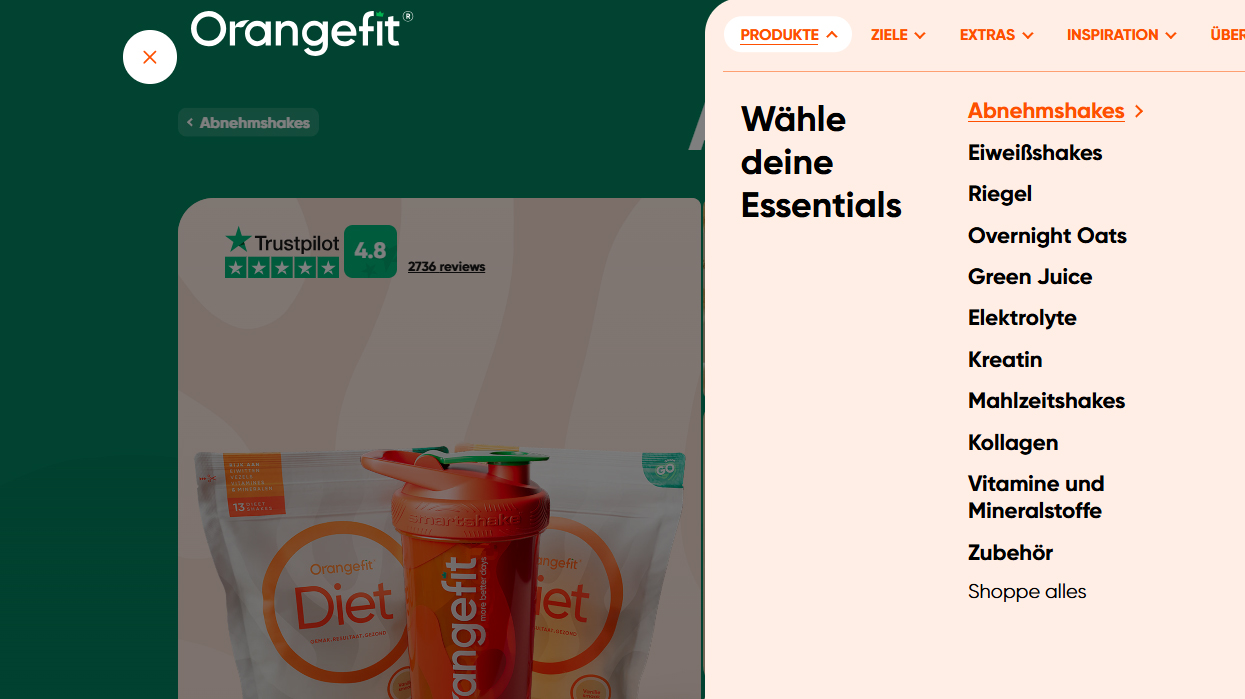 OrangeFit Website